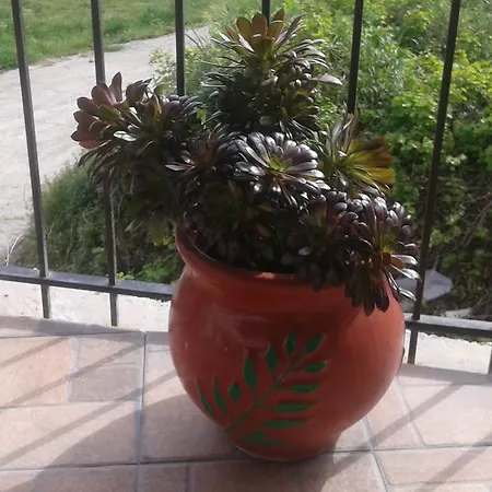 Apartment Gramvousa's Filoxenia