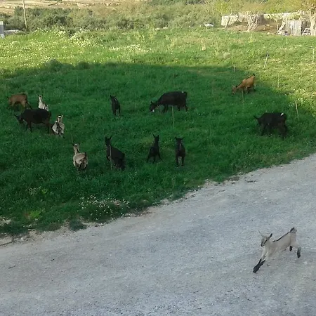Appartamento Gramvousa's Filoxenia *